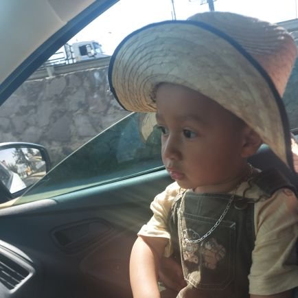 Freddy81552507's profile picture. 