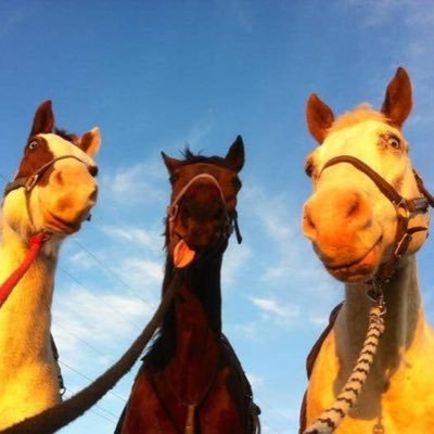 dailyth08974897's profile picture. Daily thoughts and jokes that aren’t good