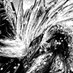 黒田高祥-S級~聖獣使い/豚の復讐連載中 (@lanae_lanae) Twitter profile photo 黒田高祥-S級~聖獣使い/豚の復讐連載中 (@lanae_lanae) Twitter profile photo