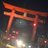 大樹のアイコン