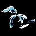 Great Lakes Ice Tracker Profile Image