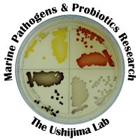 The Ushijima Lab(@UshijimaLab) 's Twitter Profile Photo