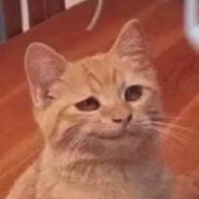 Radiotweeter2's profile picture. 