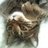 overwind's profile image