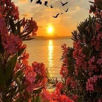 خالد عبدالرازق (@khaledhassanin4) 's Twitter Profile