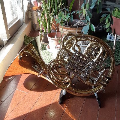 8a07N2PCXqlrs0w's profile picture. 東京音楽大学/ホルン📯