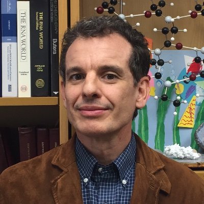 Joseph Wedekind Profile