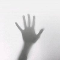 ST (@zhrmghgcn) 's Twitter Profile