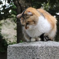 Estelle ☆ エステル (@_teruteruyo) 's Twitter Profile Photo