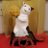 ぽぽぽぽんのアイコン