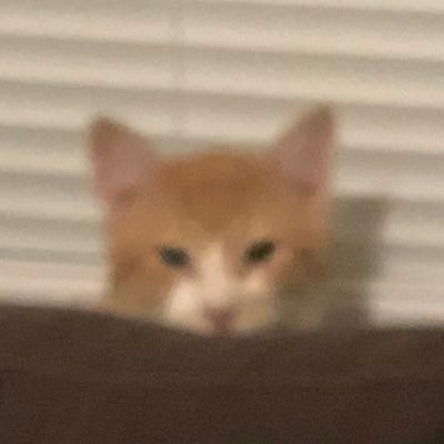 legotyler23's profile picture. People need to chill the f out. How bout another round?