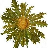 Jabi48014's profile picture. 