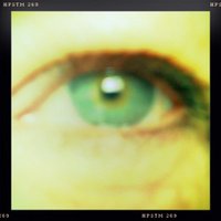 Gina Rozner (@ginarozner) 's Twitter Profile