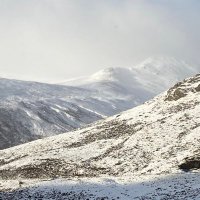 Scottish Teacher (@teachinscotland) Twitter profile photo