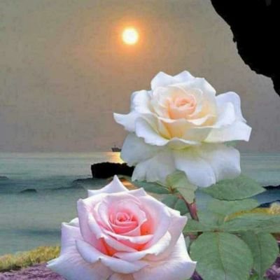 manoharlalverm1's profile picture. 