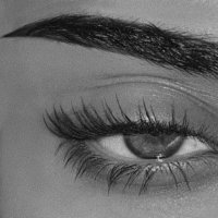 🦌 (@dmir1_) Twitter profile photo