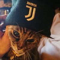 gilbert (@gilbertkm2) 's Twitter Profile