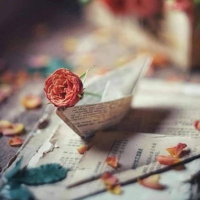 ZaratTshreen's profile picture. الطريق الى الله مفتوح من جميع الاتجاهات ‏فلا تكفر الاخر لأنه لا يتبع طريقك ...