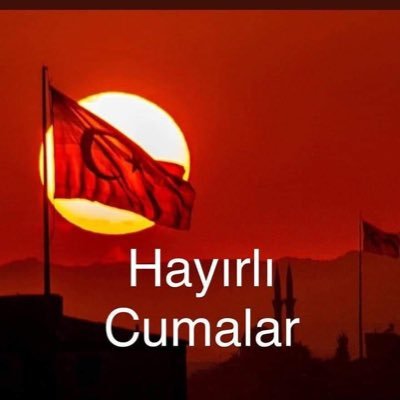 databrokerdao's profile picture. 