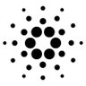 HRoark69's profile picture. Hate gov corruption, the IMF, WEF, Ethereum fees, douchebag Gary Gensler & that arsehole Trudeau!!
Fan of crypto, beer, great design and shapely legs !