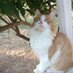 Kıvanç Catlıtuğ🐈 (@theelessar76) Twitter profile photo Kıvanç Catlıtuğ🐈 (@theelessar76) Twitter profile photo
