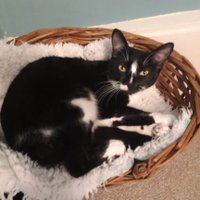 Fiona 💙 (@fioncmclean) 's Twitter Profile