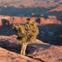 Profesor Żołądź (@mrmireaux) 's Twitter Profile Photo