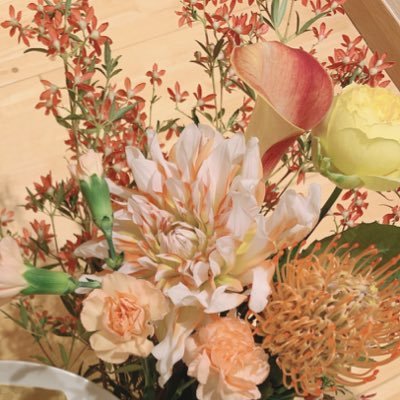 9Mw7pLRuHIMTokb's profile picture. 後ろ向いて歩くと転ぶよ