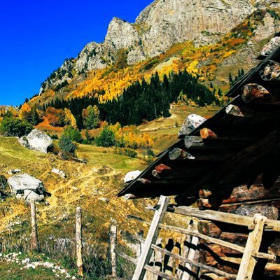 adnrobin's profile picture. 