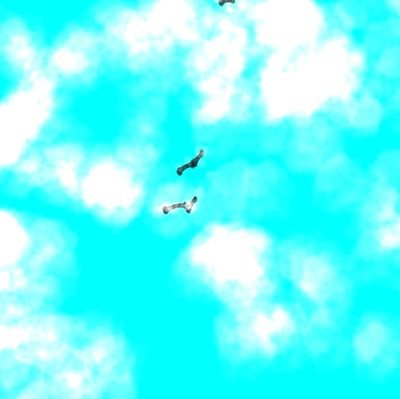 ねこやなぎさんのプロフィール画像