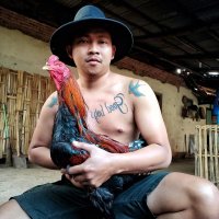 NOCTURNAL (@hoppusaditya182) 's Twitter Profile