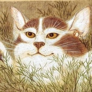 猫田猫佐衛門さんのプロフィール画像