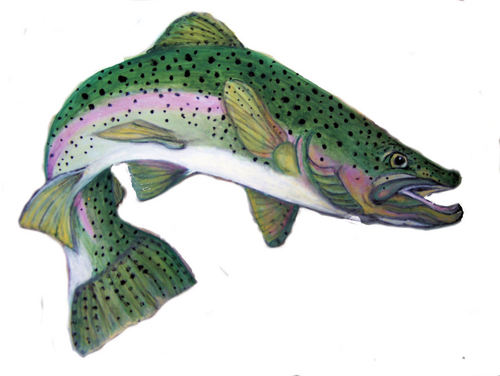 KathyMLovelace's profile picture. I paint Brown, Brook and Rainbow Trout on small furniture and accessories such as boxes, trays, stools and etc.