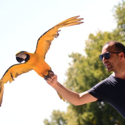 Servet16661's profile picture. 