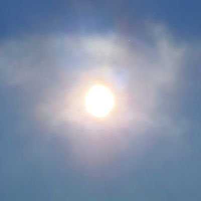 mmiizzuuhhoo777's profile picture. 何かわからない何かにいつも真実を見せられる特異体質。日本と猫と純真さを愛する中道派。favorite:中島みゆきさん、今更ながら #藤井風 さん。参政党。