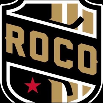 ROCO_2008_AAA_hockey
