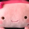 smile55352's profile picture. 湖の畔の小さな家に住みたい