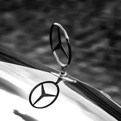 PeterMa70860932's profile picture. 