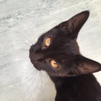 Moggy (@moggy8691) 's Twitter Profile