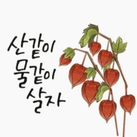 거짓없는 세상 (@v816159) 's Twitter Profile