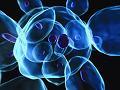 Developing better predictive in vitro models to predict clinical outcomes.