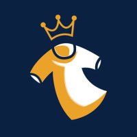 Mystery Jersey King (@mysteryjking) 's Twitter Profile