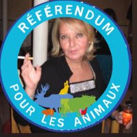 Michele Buchet (@buchetmichele) 's Twitter Profile