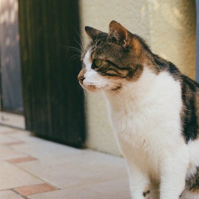 _FELIXJAN_'s profile picture. 