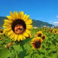 びっく (こちとら真骨頂) (@btkicm_03) 's Twitter Profile Photo びっく (こちとら真骨頂) (@btkicm_03) 's Twitter Profile Photo