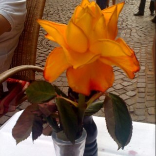 luhelo77's profile picture. 