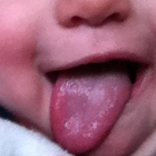 ToliosKosta's profile picture. 