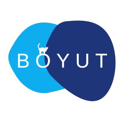 boyutbogazici Profile Picture