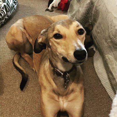 Hazel_kate's profile picture. 