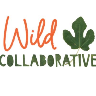 Wild Collaborative